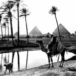 nile2